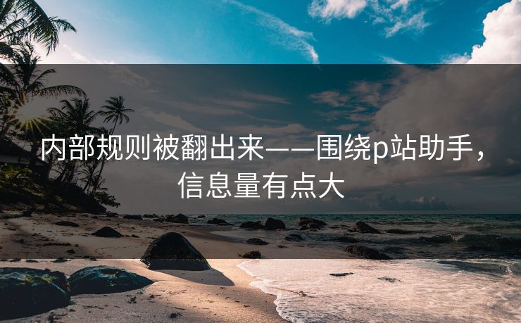 内部规则被翻出来——围绕p站助手，信息量有点大