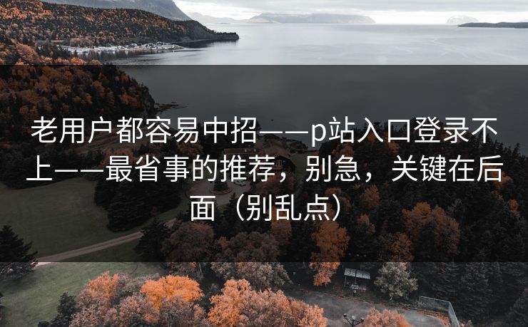 老用户都容易中招——p站入口登录不上——最省事的推荐，别急，关键在后面（别乱点）