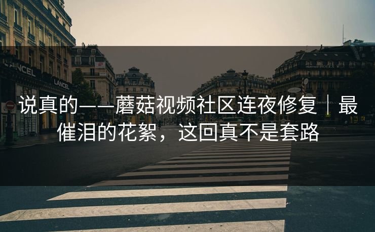 说真的——蘑菇视频社区连夜修复｜最催泪的花絮，这回真不是套路