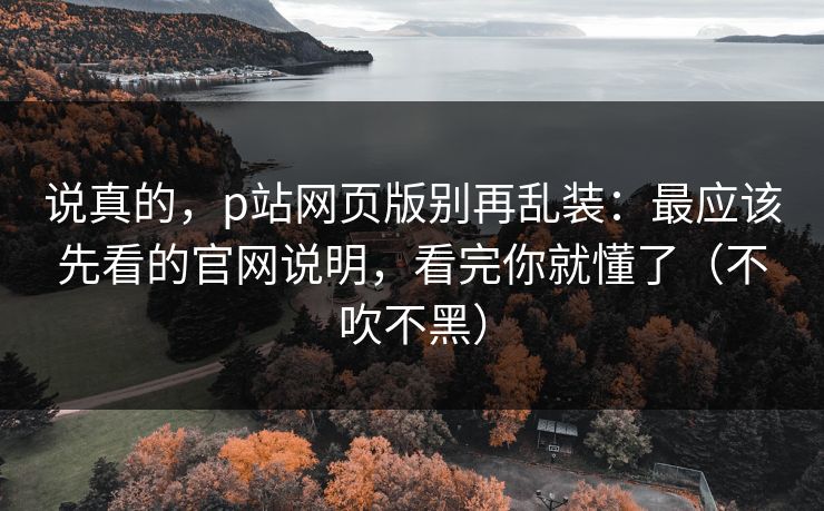 说真的，p站网页版别再乱装：最应该先看的官网说明，看完你就懂了（不吹不黑）