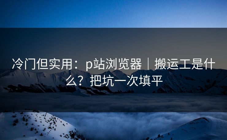 冷门但实用：p站浏览器｜搬运工是什么？把坑一次填平