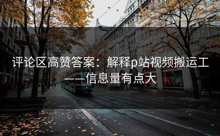评论区高赞答案：解释p站视频搬运工——信息量有点大