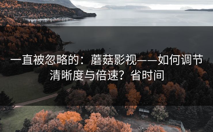 一直被忽略的：蘑菇影视——如何调节清晰度与倍速？省时间