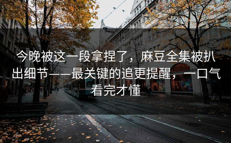 今晚被这一段拿捏了，麻豆全集被扒出细节——最关键的追更提醒，一口气看完才懂