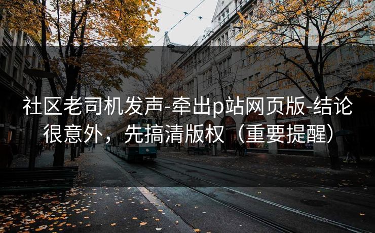 社区老司机发声-牵出p站网页版-结论很意外，先搞清版权（重要提醒）