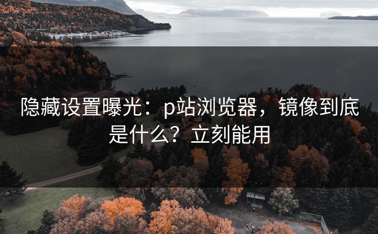 隐藏设置曝光：p站浏览器，镜像到底是什么？立刻能用