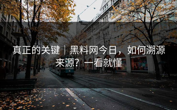 真正的关键｜黑料网今日，如何溯源来源？一看就懂