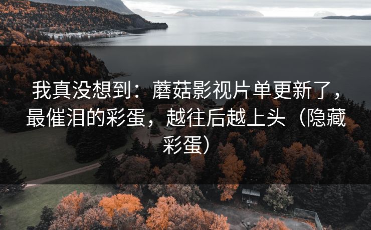 我真没想到：蘑菇影视片单更新了，最催泪的彩蛋，越往后越上头（隐藏彩蛋）