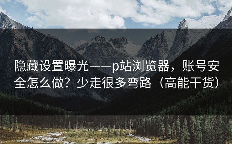 隐藏设置曝光——p站浏览器，账号安全怎么做？少走很多弯路（高能干货）